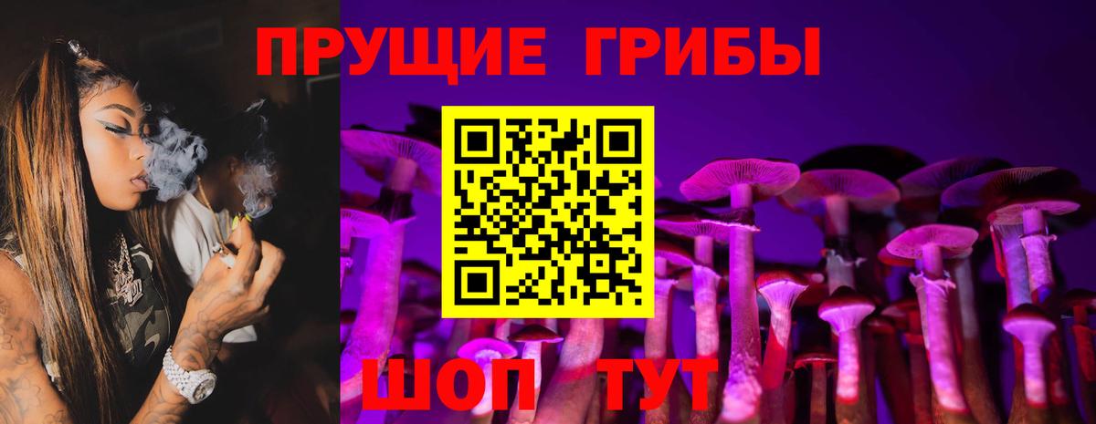 Псилоцибиновые грибы Magic Shrooms  Псилоцибиновые грибы Psilocybine cubensis  закладка  Чехов  Вход с VPN 